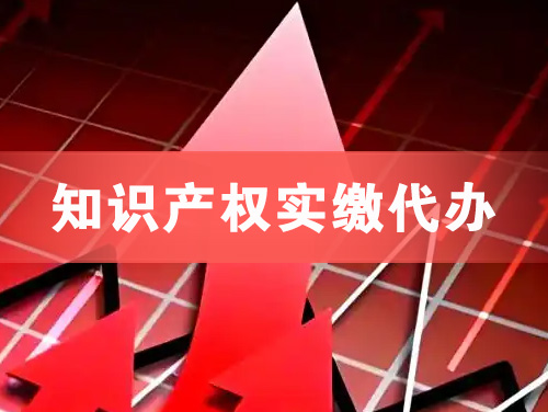 海东地知识产权实缴资本代办